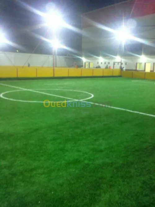 FOURNTURE ET POSE CLOTURE REGIDE