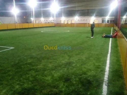 FOURNTURE ET POSE CLOTURE REGIDE