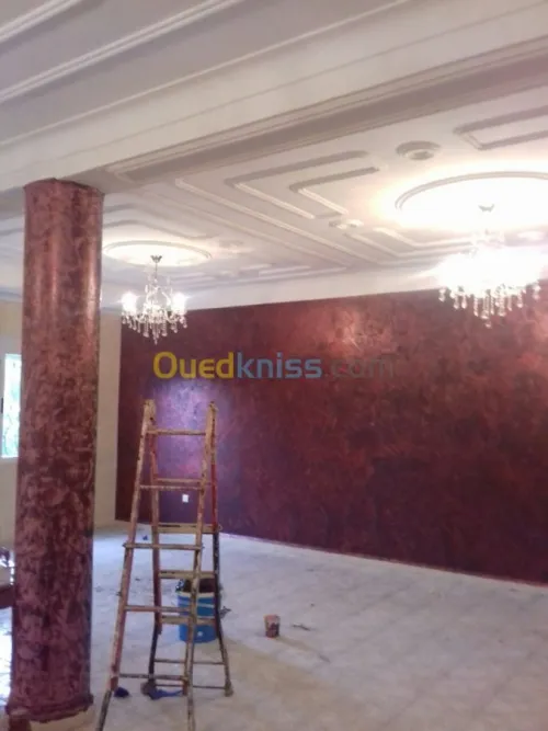 Peintre pro tout types de peinture 