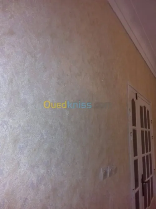 Peintre pro tout types de peinture 