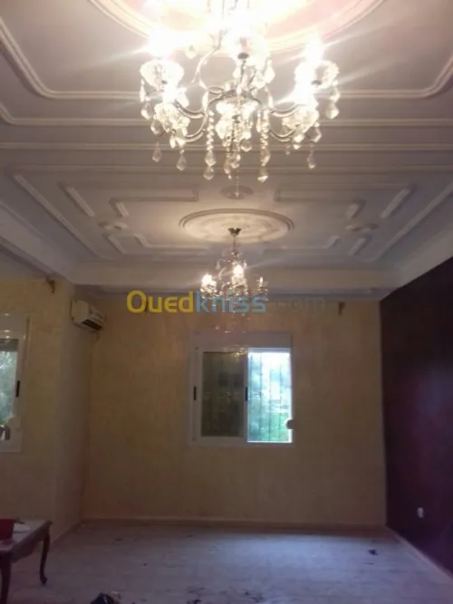 Peintre pro tout types de peinture 