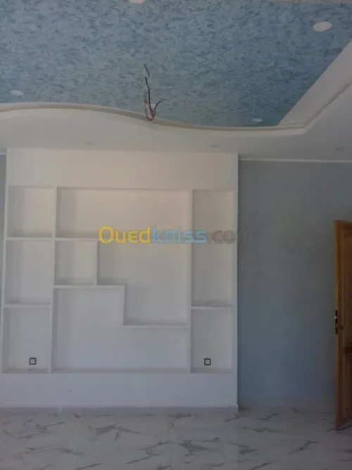 Peintre pro tout types de peinture 