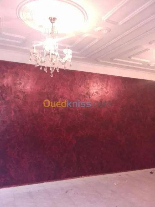 Peintre pro tout types de peinture 