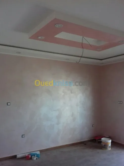 Peintre pro tout types de peinture 