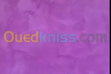 Peintre pro tout types de peinture 
