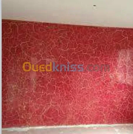 Peintre pro tout types de peinture 