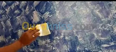 Peintre pro tout types de peinture 