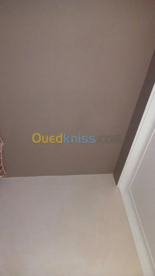 Peintre pro tout types de peinture 
