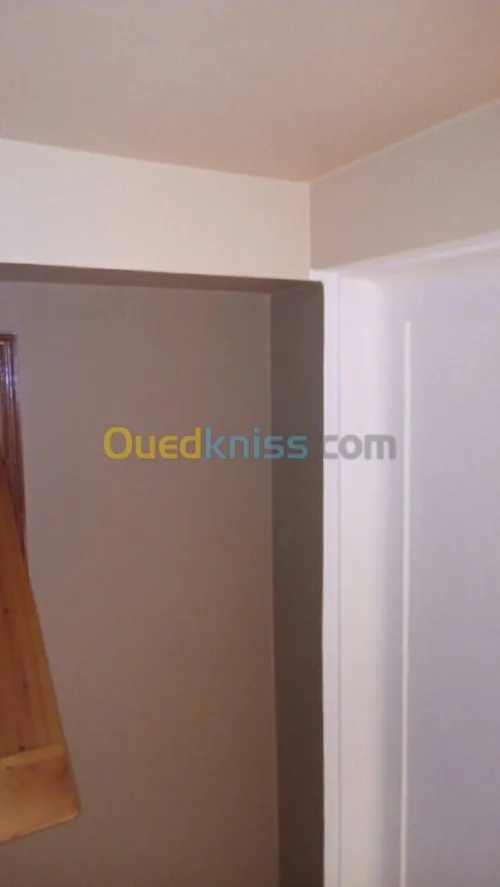 Peintre pro tout types de peinture 