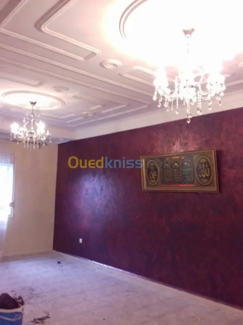 Peintre pro tout types de peinture 