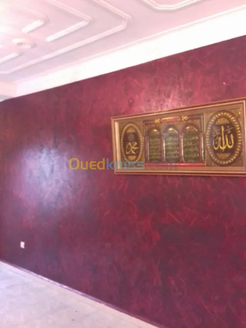 Peintre pro tout types de peinture 