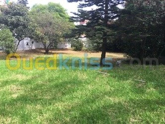 Location Villa Alger El biar