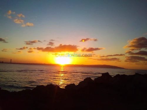 Vente Villa Alger Bordj el bahri