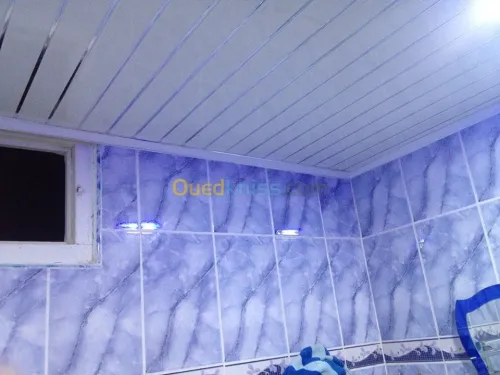 Décoration: Placoplatre/Pvc/Electr