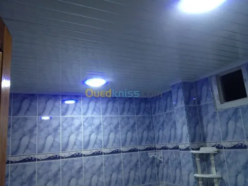 Décoration: Placoplatre/Pvc/Electr