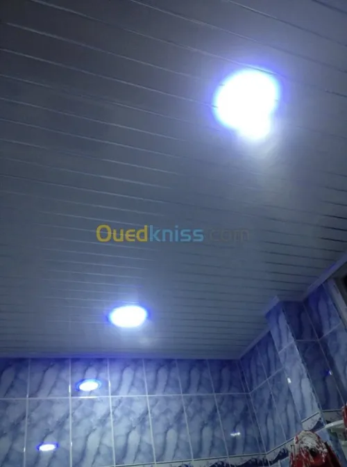 Décoration: Placoplatre/Pvc/Electr