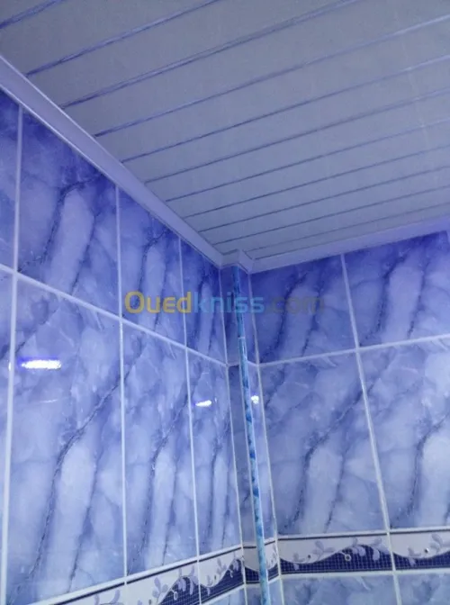 Décoration: Placoplatre/Pvc/Electr