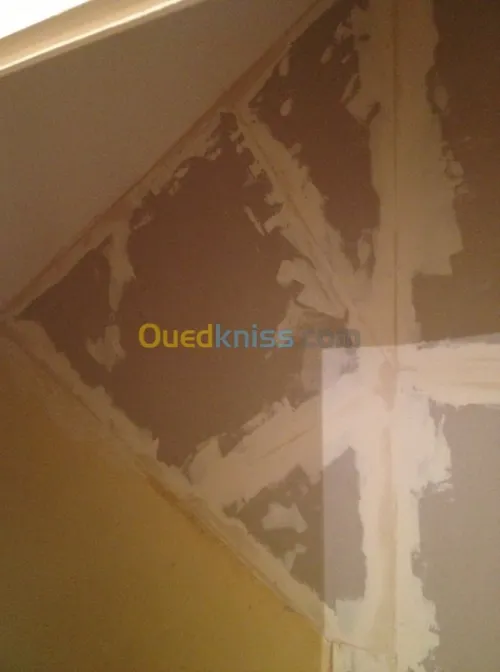 Décoration: Placoplatre/Pvc/Electr