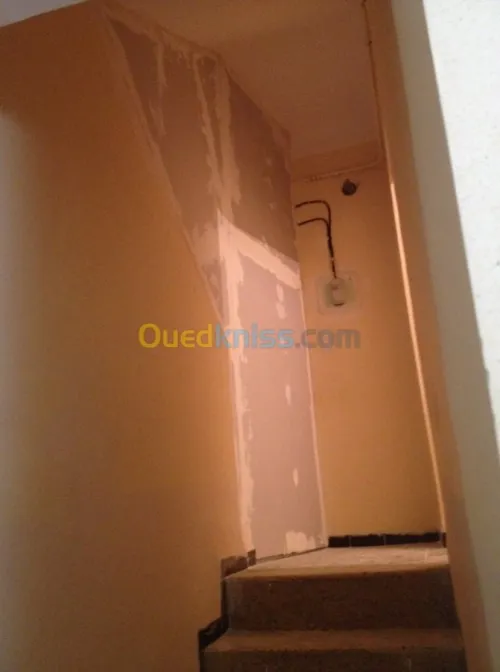 Décoration: Placoplatre/Pvc/Electr