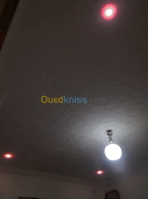 Décoration: Placoplatre/Pvc/Electr