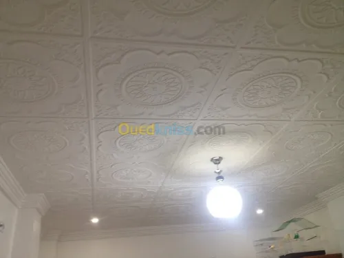 Décoration: Placoplatre/Pvc/Electr