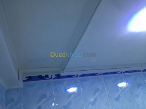 Décoration: Placoplatre/Pvc/Electr