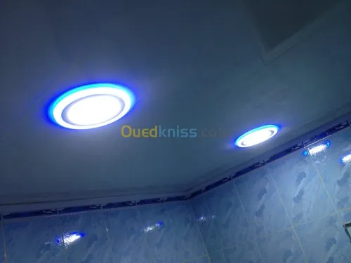 Décoration: Placoplatre/Pvc/Electr