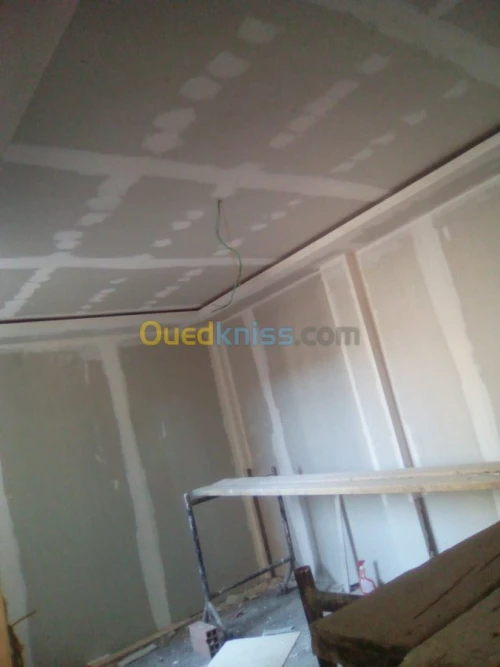 placo platre  penture  BA13 