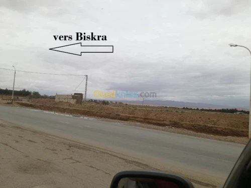 Vente Terrain Agricole Biskra Sidi okba