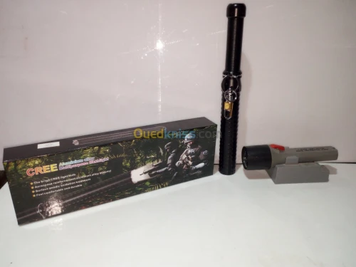 TORCHE ET GYROPHARE
