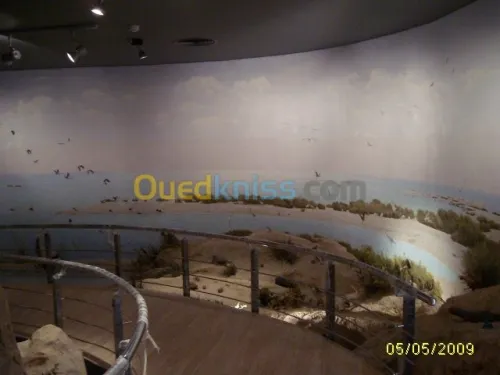 Construction, aménagements, Décoration