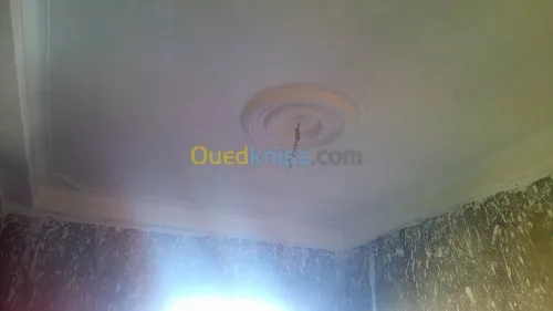  blaco platre  bia 13 plater dicour