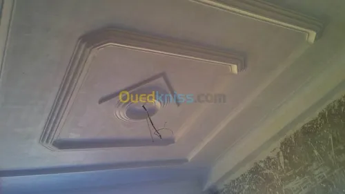  blaco platre  bia 13 plater dicour