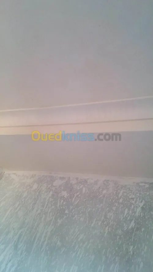  blaco platre  bia 13 plater dicour