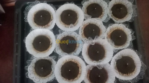 Gateaux orientals et gateaux sec