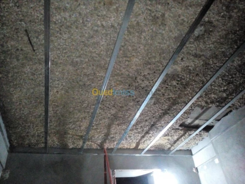 Painting && decoration