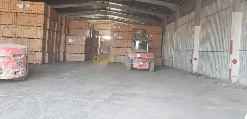 Vente de bois rouge et derive