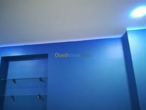  peintre pro 