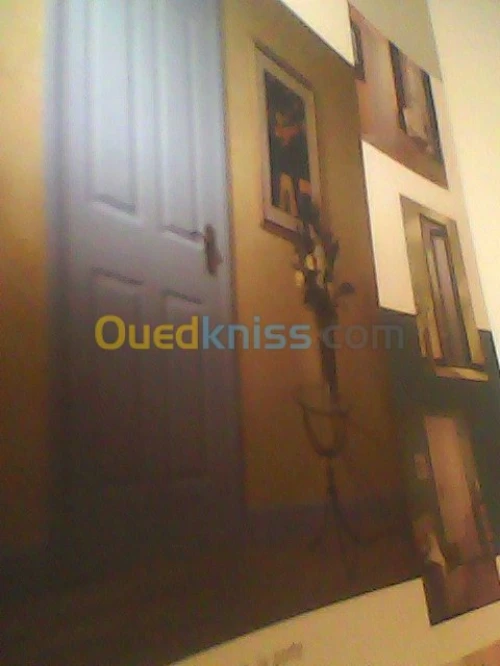portes mdf