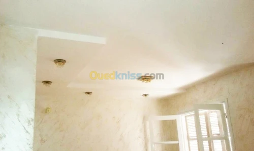 Plaquiste, placoplatre, BA13 