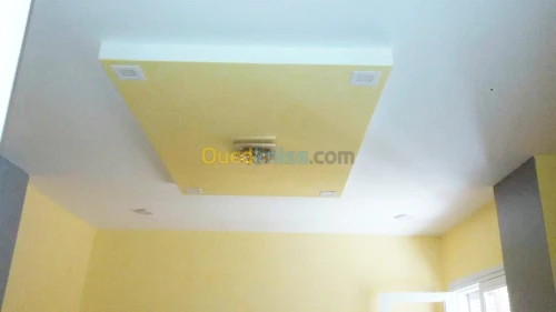 Plaquiste, placoplatre, BA13 