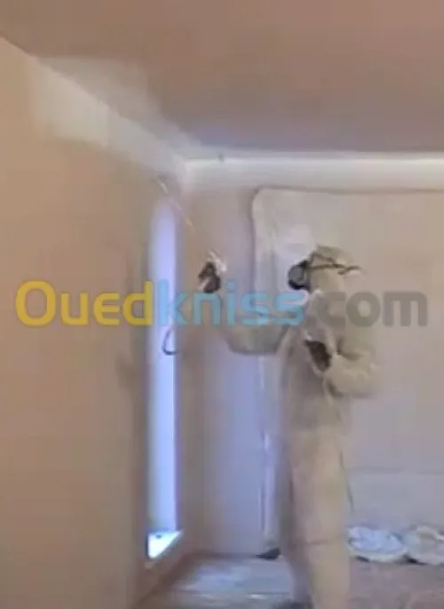 Professionnel Et rapide 