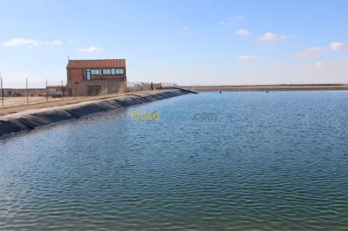 réalisation de bassins en Geomembrane 
