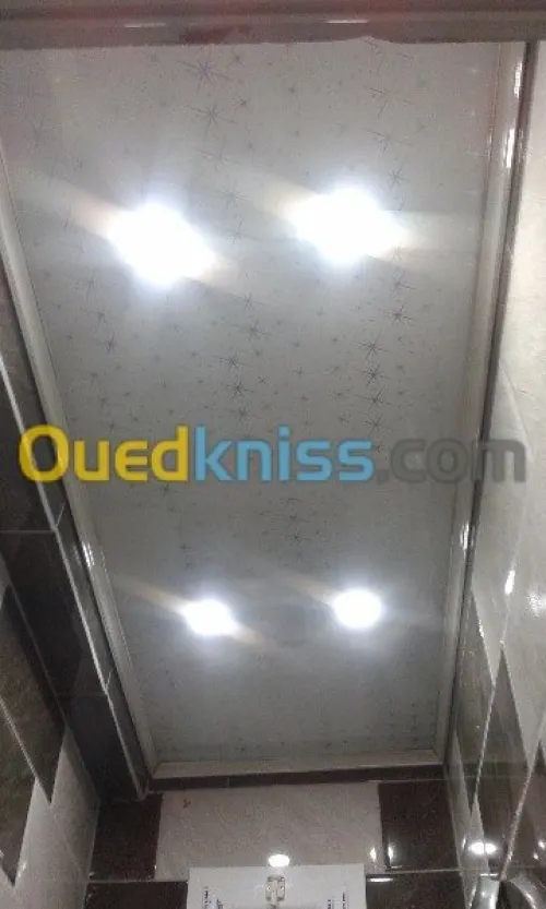 verriere aluminium et brise soleil aluminium 