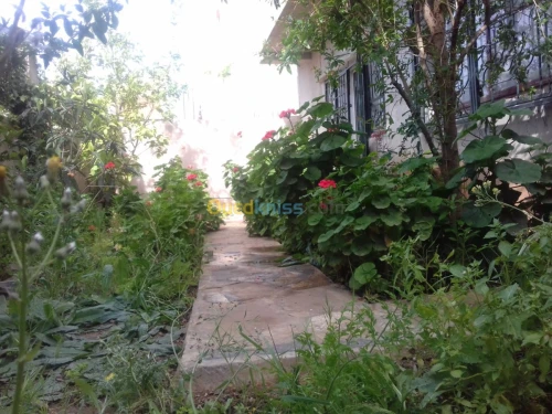 Location Appartement Tipaza Tipaza