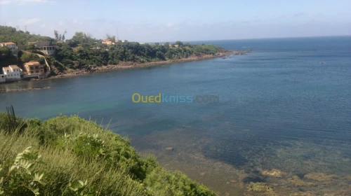 Location Appartement Tipaza Tipaza
