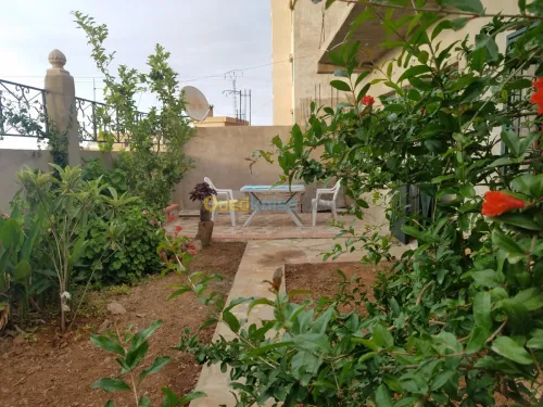 Location Appartement Tipaza Tipaza