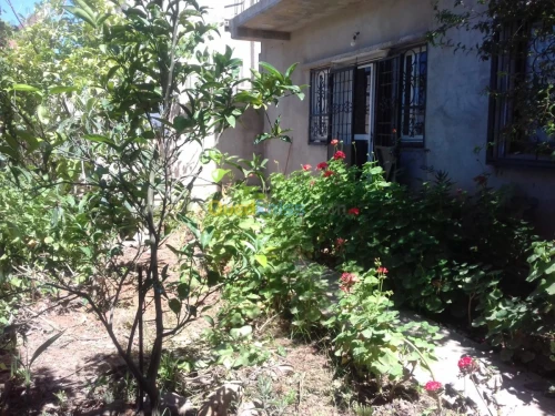 Location Appartement Tipaza Tipaza
