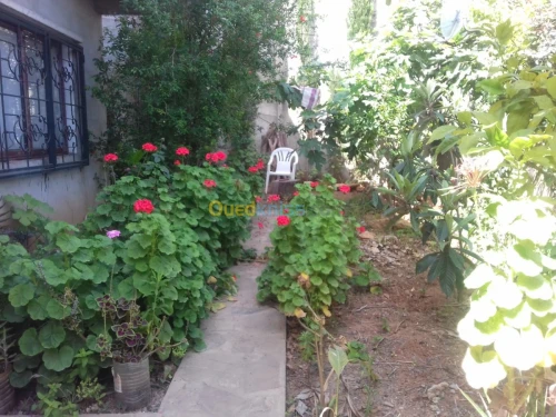 Location Appartement Tipaza Tipaza