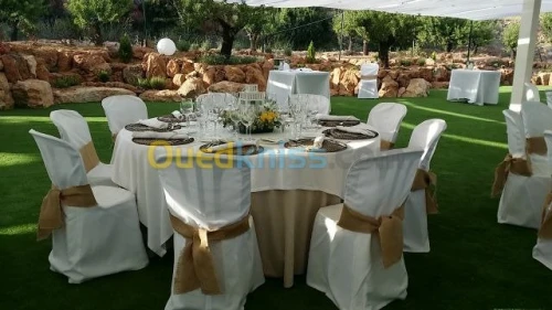 Fourniture & Pose de Gazon Synthétique